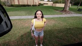 server does it all for money