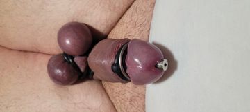Unleashing Big Austrian Cock