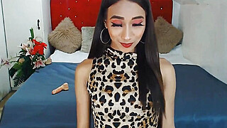 Skinny Asian Shemale Awesome Camshow