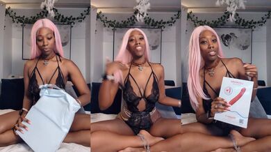 New Lovense Interactive Toys Unboxing