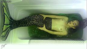 Behind the scenes miniclip from filming &quot_Swamp Mermaid Tank!&quot_