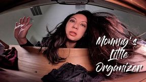 Step-mommys Little Organizer