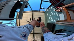 Pathetic Little Bug (mp4)
