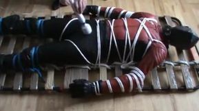 Restrained bikerslave