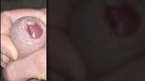 Stroking With Cumshot 2 (25)