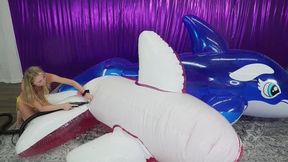 Lexy Inflates 2 Whales w Pump 4K