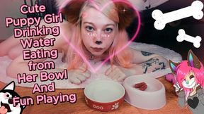 Cute Puppy Girl Drink And Eat From Her Bowl And Fun Playing