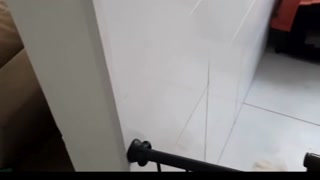 Her ass was pulled up by the cock who put it in her hair without frills and left her all cumming.