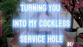 VR Turning You into My Cockless Service Hole