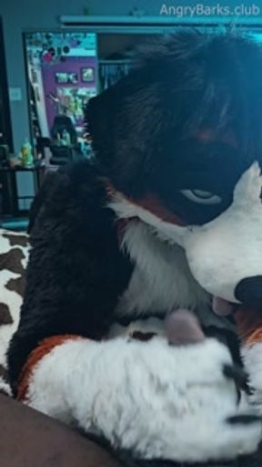 Furry Puppy Voz makes a mess out of SJ 💦