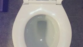 FLUSHING MY PEE DOWN MY TOILET UR WISH IS GRANTED