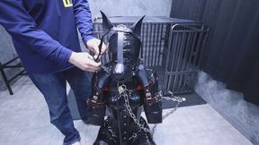 Female dog training camp 04