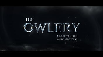 Chode Wang and the Owlery - Gobbywarts//School of Sexcraft and Wickedry//SIMS 4//Harry Potter Rule 34 Porn