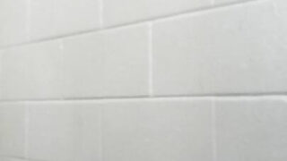 يتم ممارسة الجنس الشرجي مع المتحولين جنسياً ذوي المؤخرات المستديرة، ويتم قذف المني داخل مؤخراتهم.