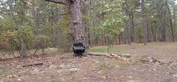 Yet some more woods