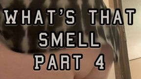 What’s that Smell - Part 4 - 50 Farts BBW Farting