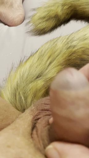 Paw of a dog