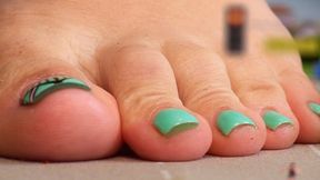 GIANTESS FAIR TRADE — THE SEVEN CITIES COMPILATION