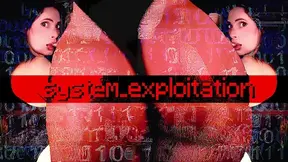 system_exploitation