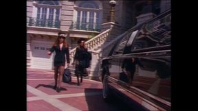 Vintage Wild Sexy Love