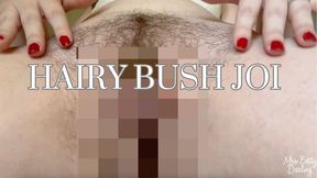 Hairy Bush JOI WMV