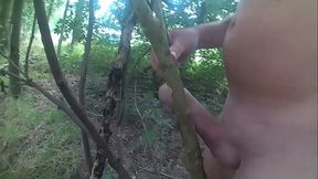 Wanking in woods 10