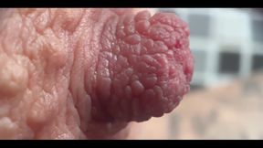 Extremely Close up of My Hard Nipples