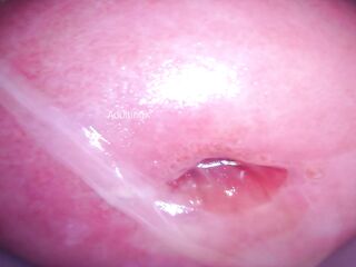 Camera in Cunt cumming, cervix palpitating, climax contractions, gfe raw talk, bts - My Muse Part 5