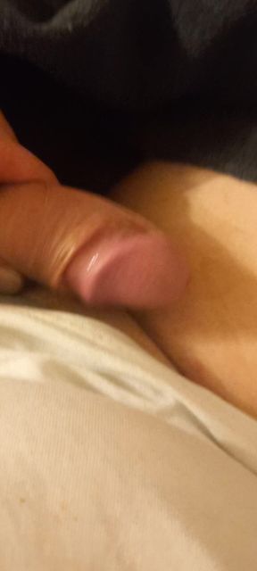 Penis