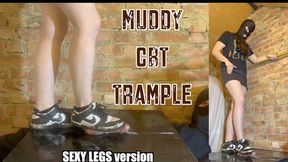 Muddy Dunks SHRED cock & balls - HARDCORE ballbusting with cumshot & stomped into the mud **SEXY LEGS version** CBT shoejob trainers sneakers Nike Dunk crush stomp testicles cumshot hard heavy extreme