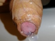 Uncircumcised hard cock plays with foreskin and pre-cum close-up, hard micropenis
