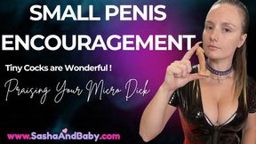 Small Penis Encouragement - SPH - Micropenis - Small Cock Praise