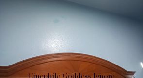 Cinephile Goddess Ignore