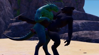 Furry kitty and the alien dragon | Wild life