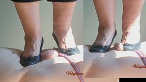 Snake Wedge Reproductive Organ Trample