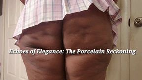 ECHOES OF ELEGANCE THE PORCELAIN RECKONING