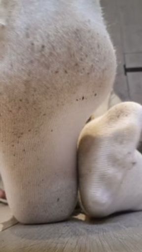 Play with my dirty white ankle socks while Im smoking.
