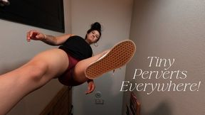 Tiny Perverts Everywhere! (mp4)