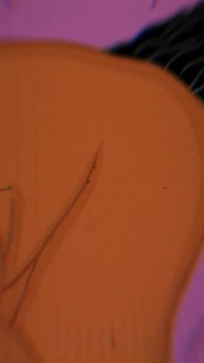 Big Butt Mash up 2D/3d/ai