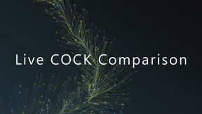 Live Cock Comparison