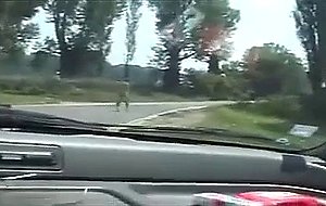 Redhead tranny gets banged in a car