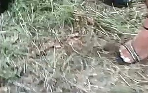 Redhead tranny gets banged in a car