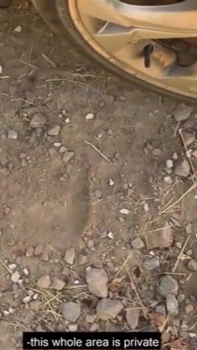 Young amateur caught red-handed with tattooed   Clip 3