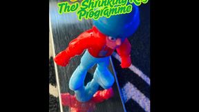 The Shrinking Ray Programme - Shrinking Mesmerize