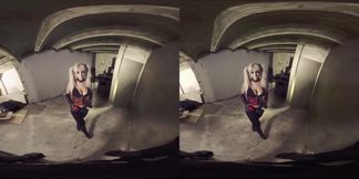 With Harley in the basement