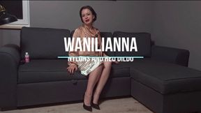 Hairy and stockinged cunt dildoed: medium resolution