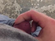 Quick cumshot in the park bathroom