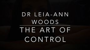 The Art of Control