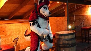 Husky Fursuiter Suspension Jerkoff