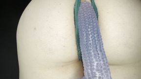 Corn Dildo in My Pussy!